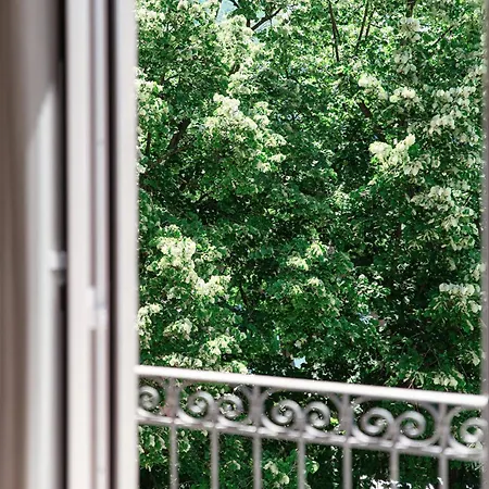 Dream By Quokka 360 - View *